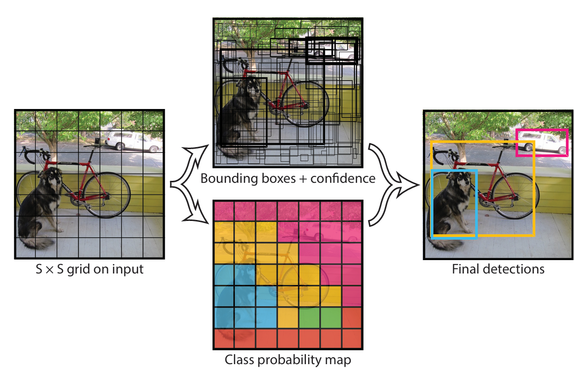 yolov1_detect.png